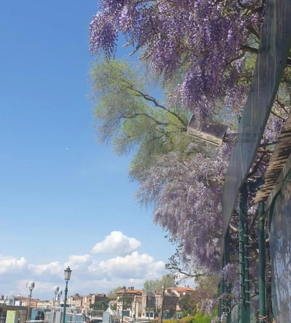 Apartamento Biennale Flat In Giardini Venecia